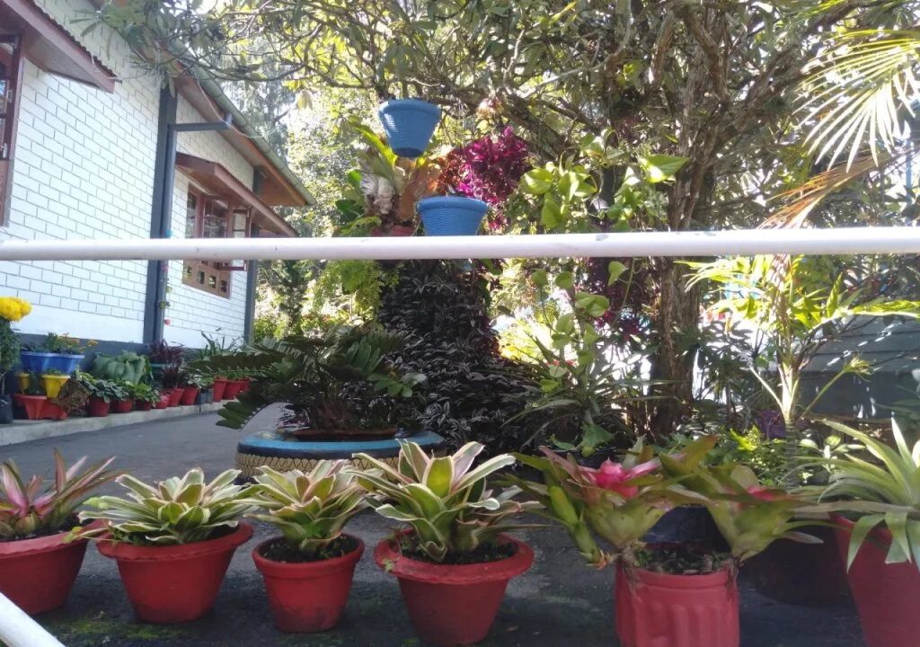 The Shire Kalimpong