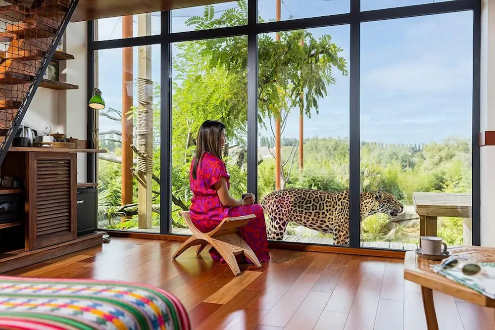 Les Lodges - Parrot World