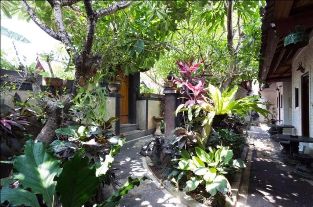 Dana Guesthouse Bali