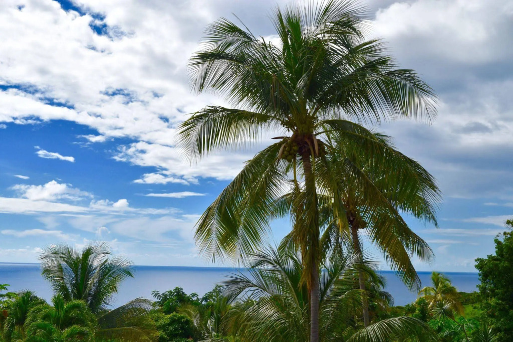Résidence Paradis Tropical