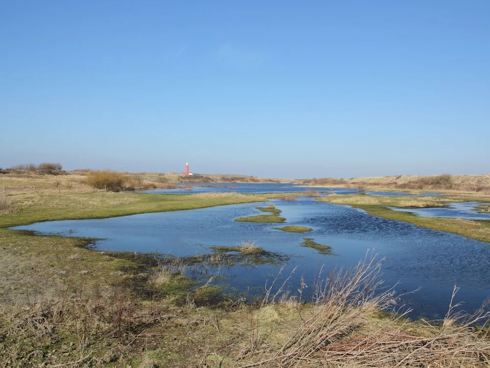 Beautiful Holiday Home in Texel Near Sea