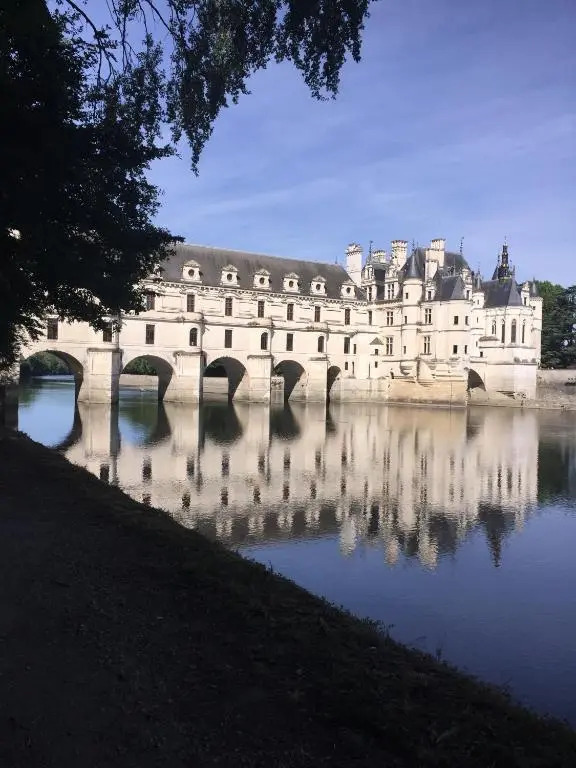 Au Coeur de la Cour