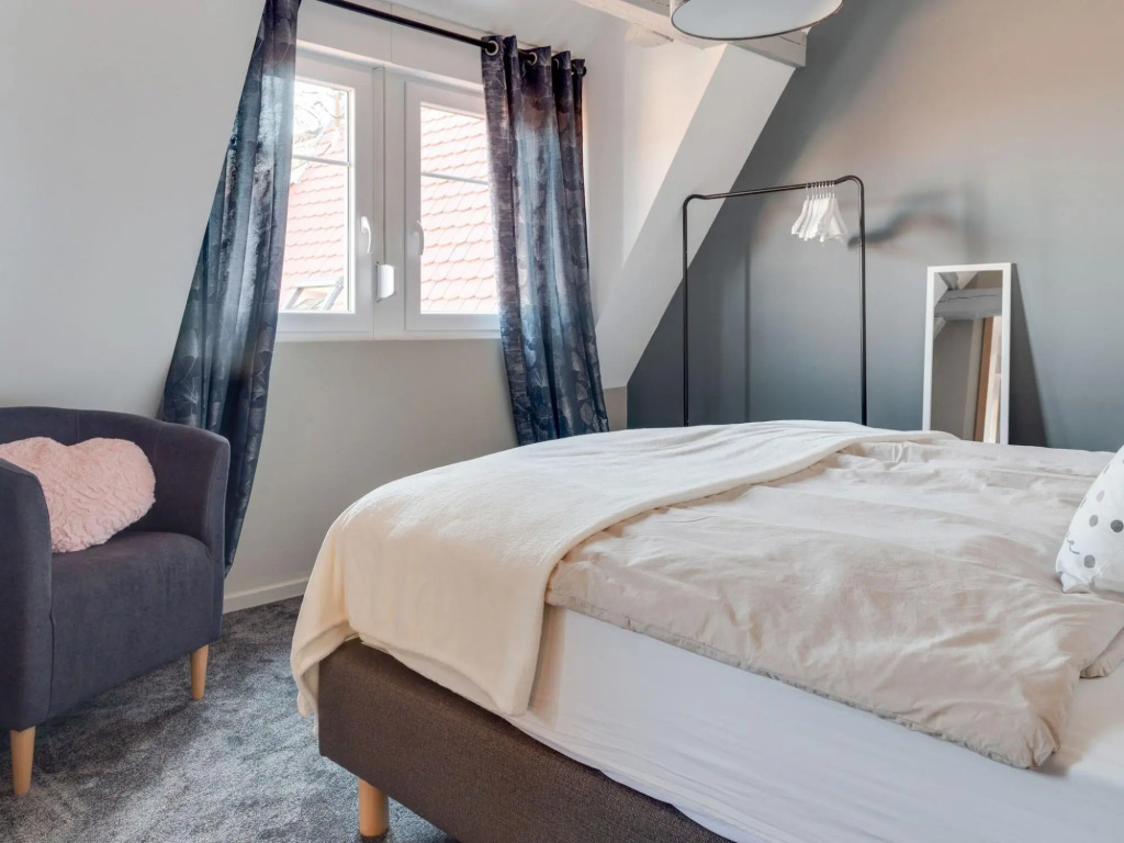 Apartment in Alsace Near Europa-park
