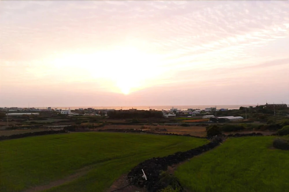 Jeju Track & Unshared House Pension