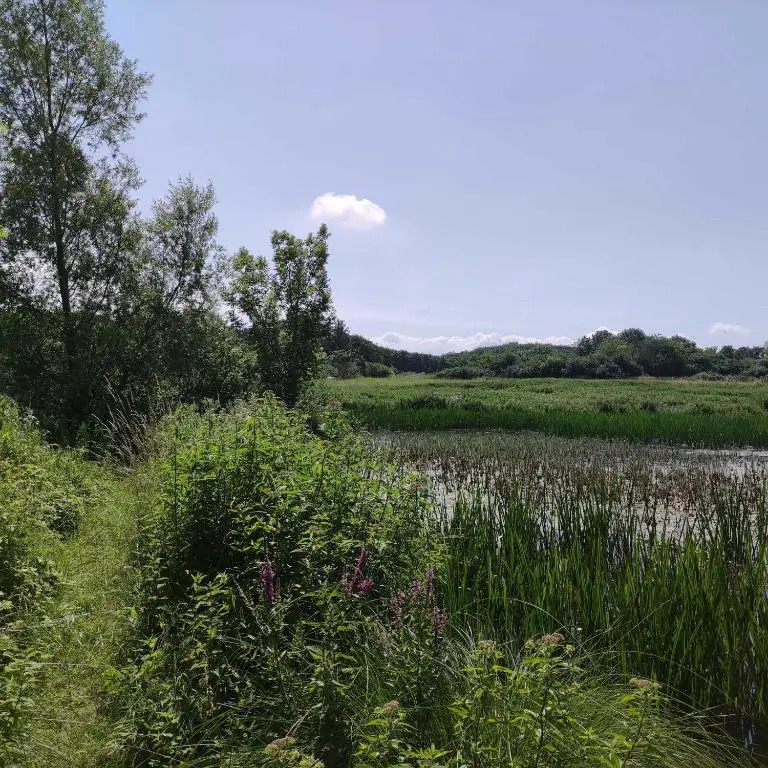 Ruegen Fewo 81