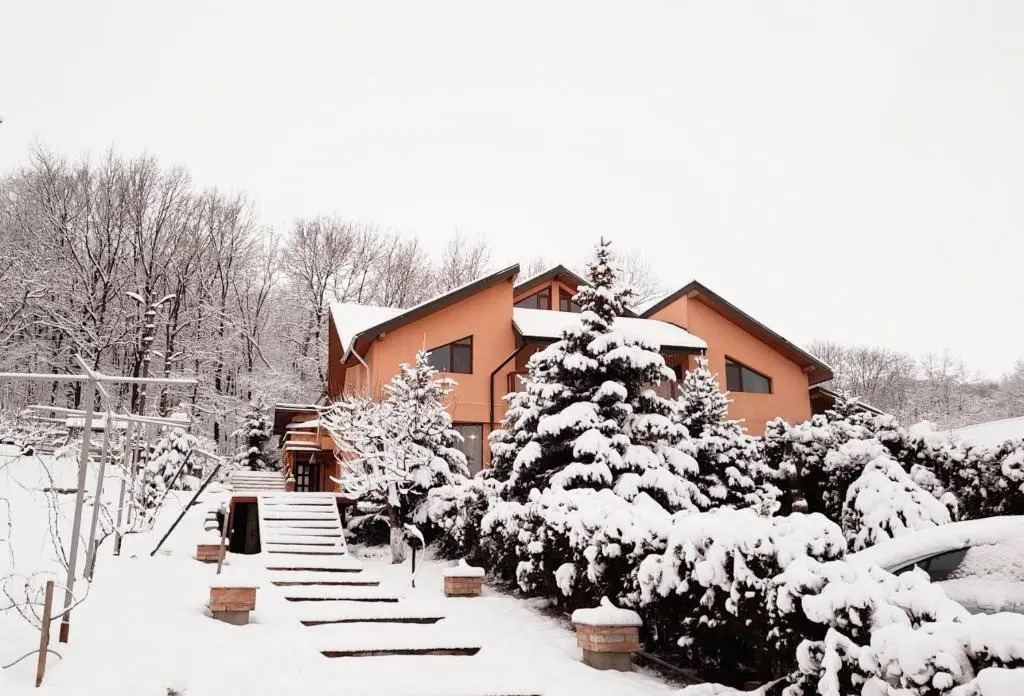Pensiunea Retiro Iasi