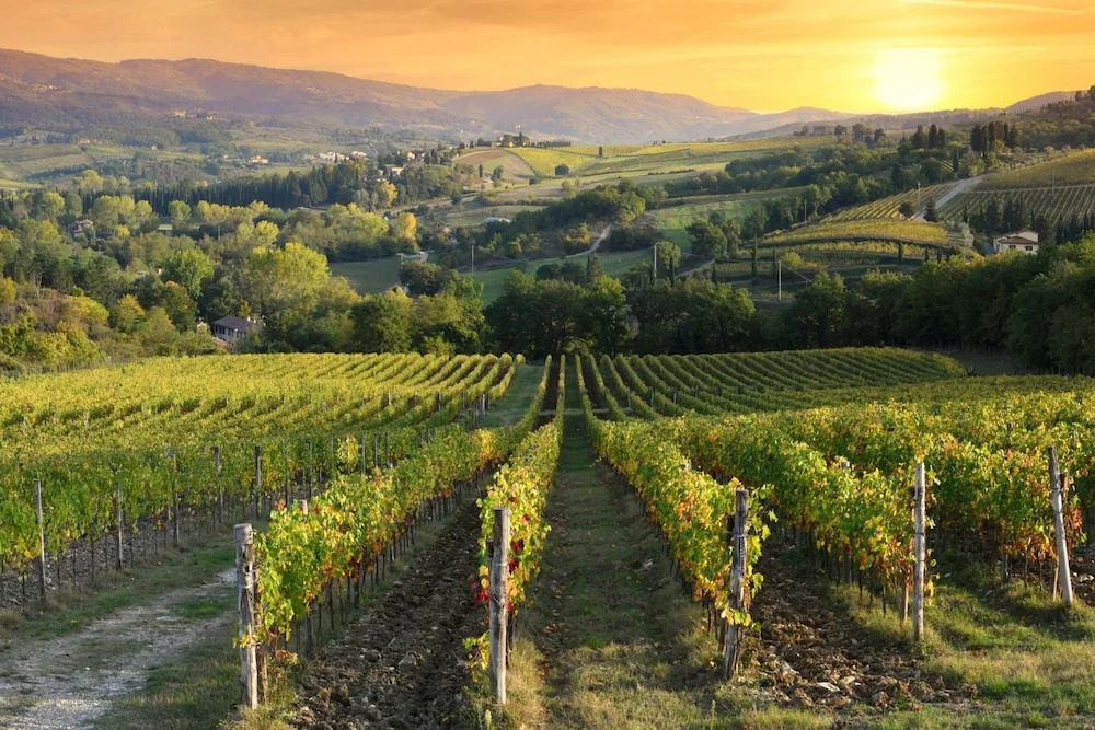 Vigna Home Amazing Site Chianti Classico