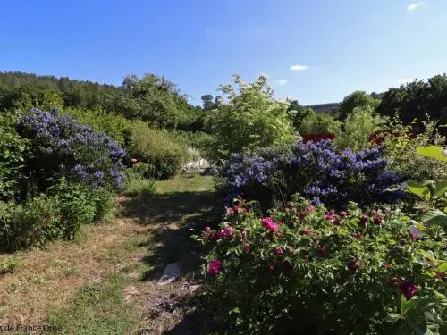 La Maison De Coco