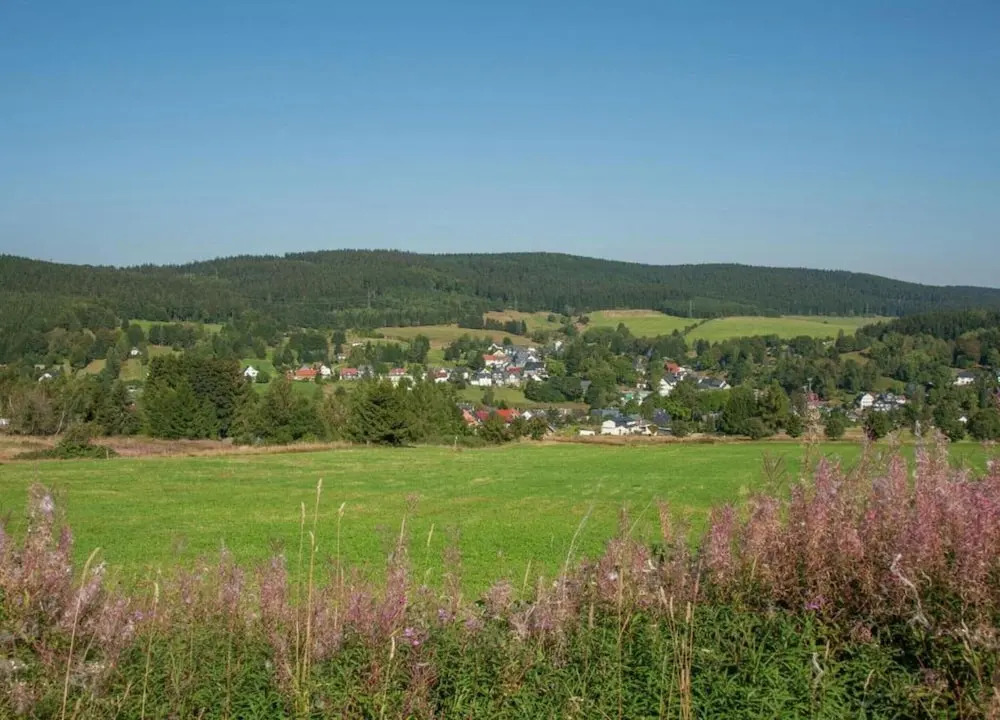 Cozy Holiday Home in Grossbreitenbach near Schwarza Valley