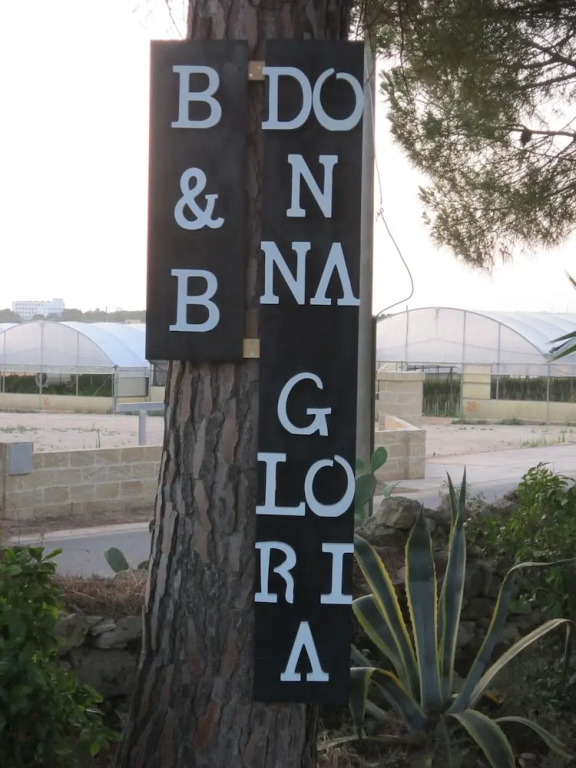BB Donna Gloria
