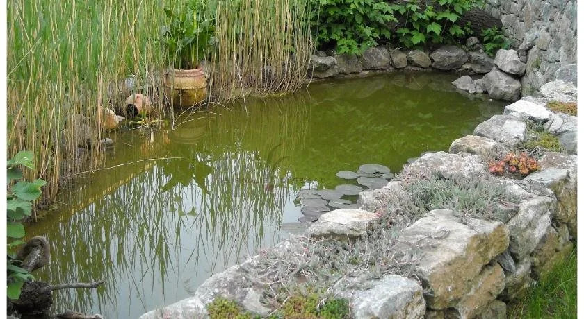 B&B Tre Foglie di Pesco