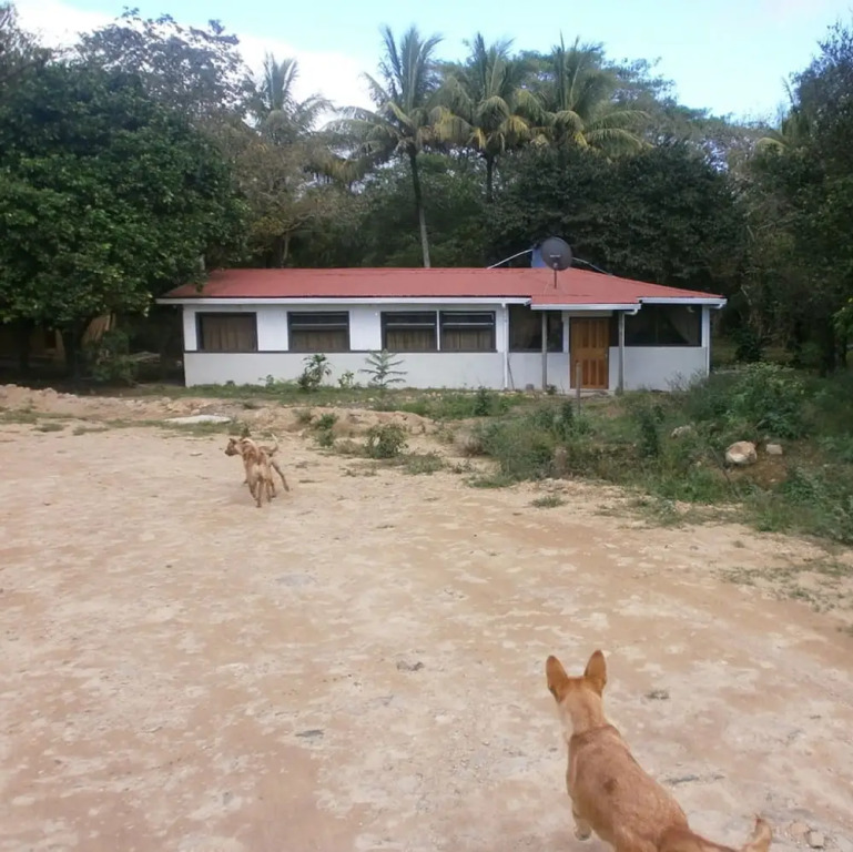 Talamanca 1, Your Budget Cabin Is Waiting For You At Juan Manuel National Park