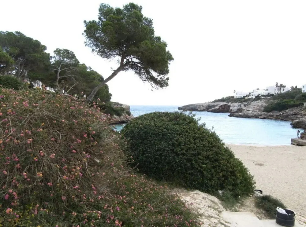 Residence Sirena D'or