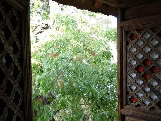 Shaxi Guzongma Hostel