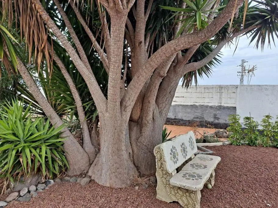 Tenerife Apartment Dulcynea with terrace and garden 600m2 with ocean and Teide view