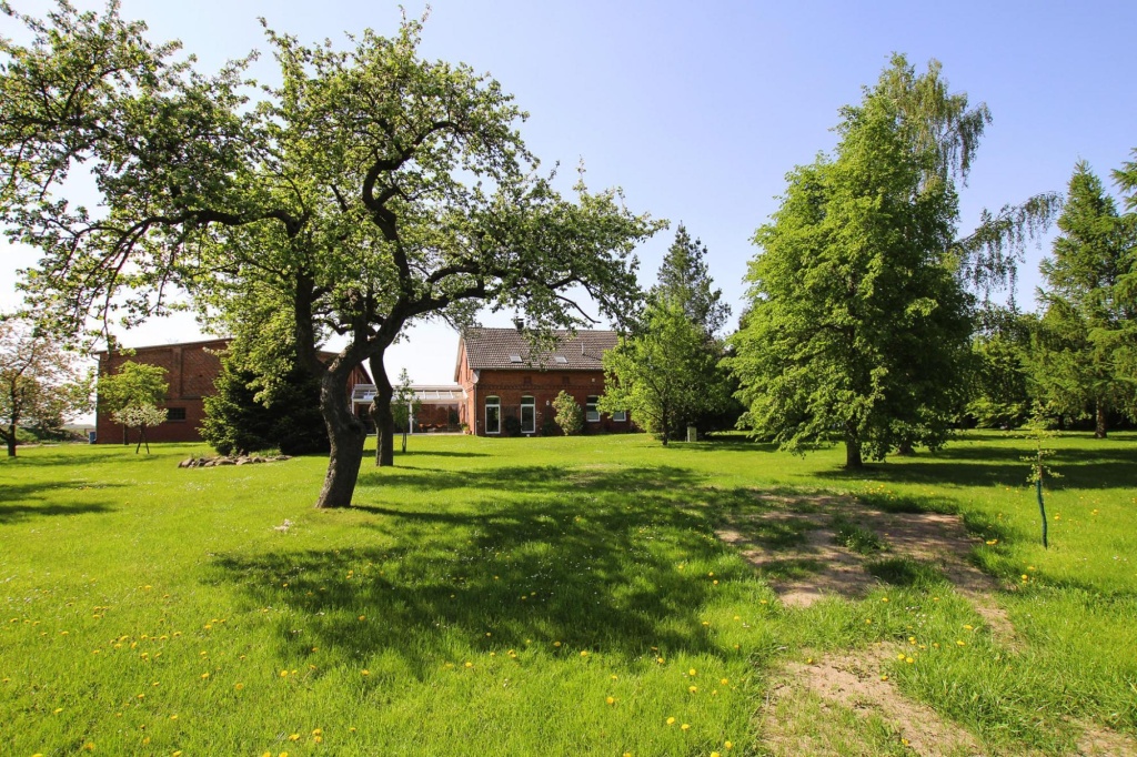 Apartment, Burow In Burow