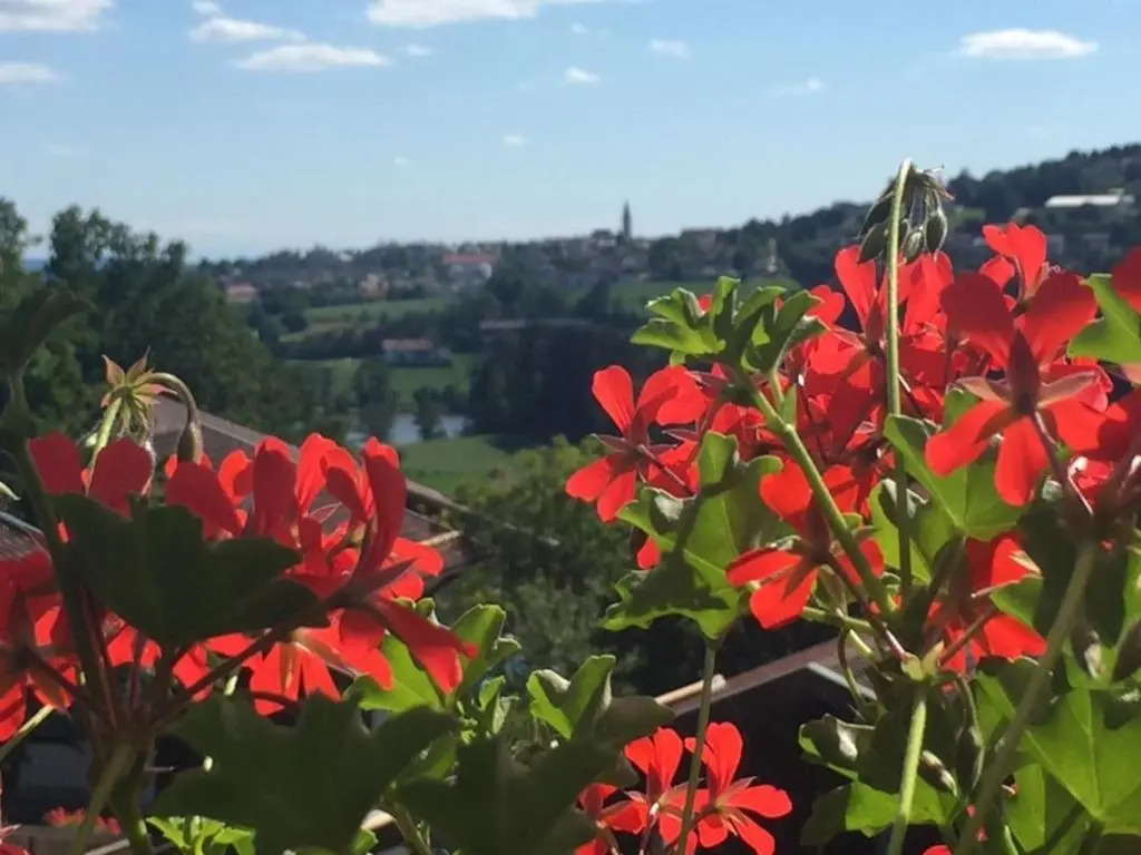 Ferienwohnung Hauzenberg Blick