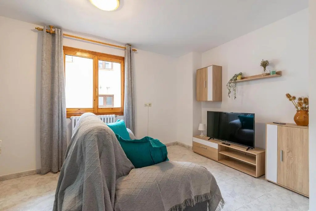Apartamentos Vicenta