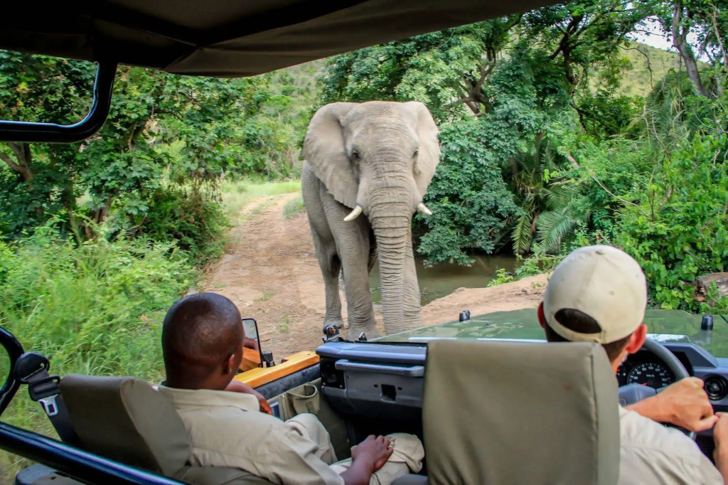 Thula Thula Game Lodge