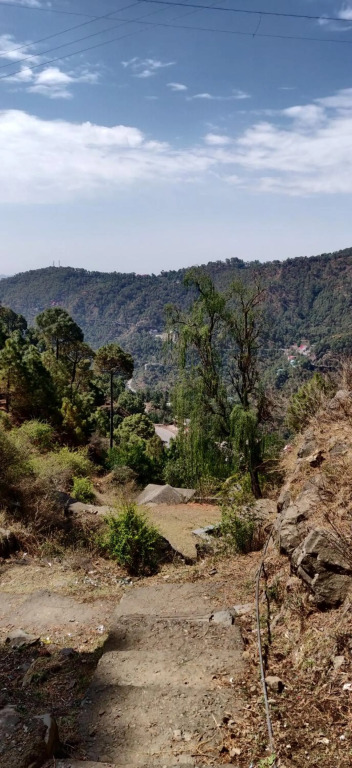2BHK Furnished Apartment/Near Kasauli/Barog/Luv Fun & Adventure