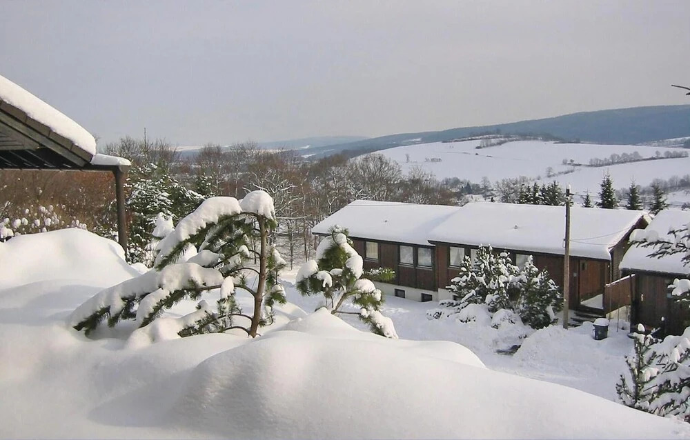 Pet Friendly Home In Bischofsheim