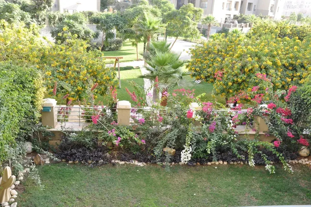 Axxodia porto new cairo residence