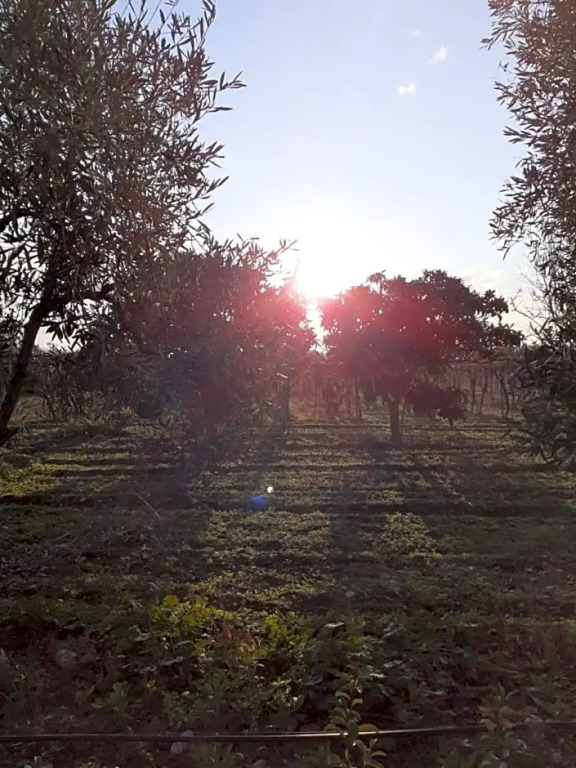B&B Posta Piana