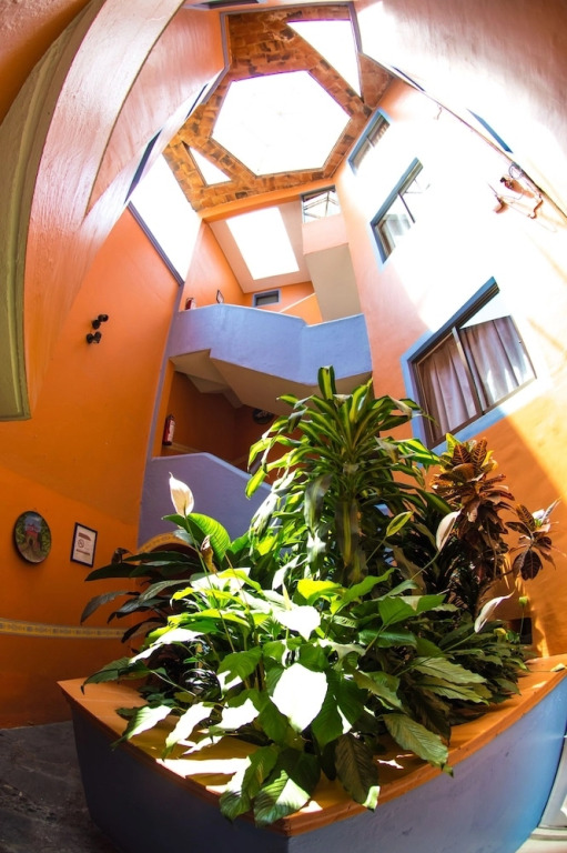Hotel posada casa regia
