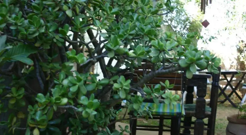 B&B Almenar Golf
