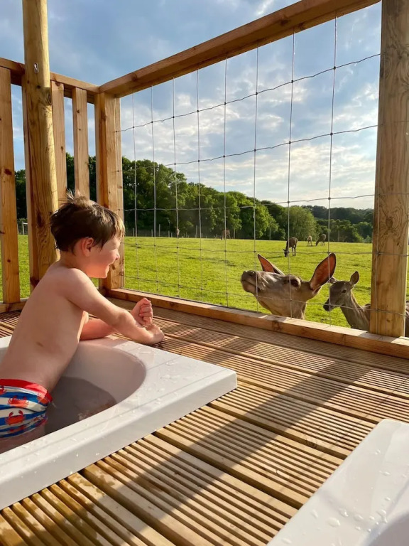 Luxury Safari Lodge-Sleeps 4 6-Deer Park-Dogs Ok