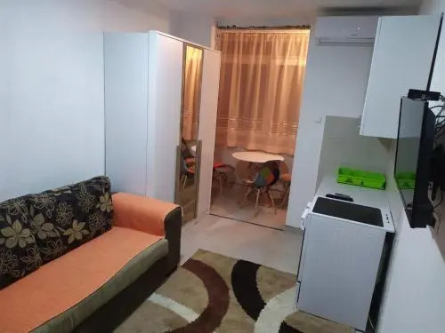 Apartment Igor
