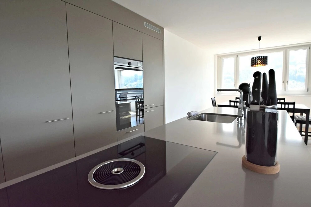Airhosted Luzern Vacation Home Rentals