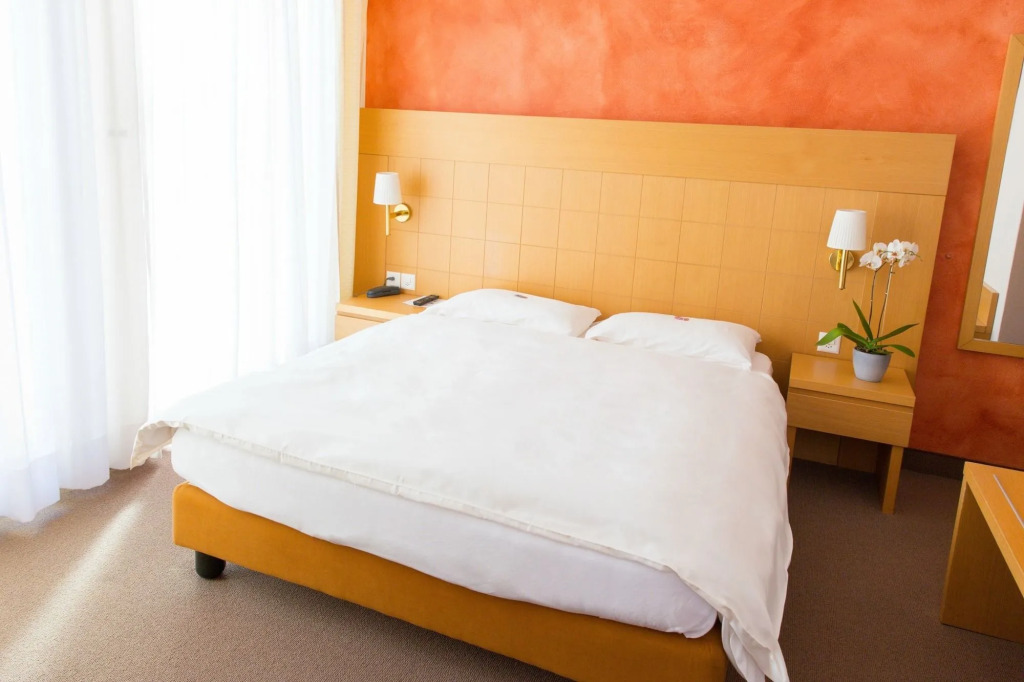 Hotel Du Lac Locarno
