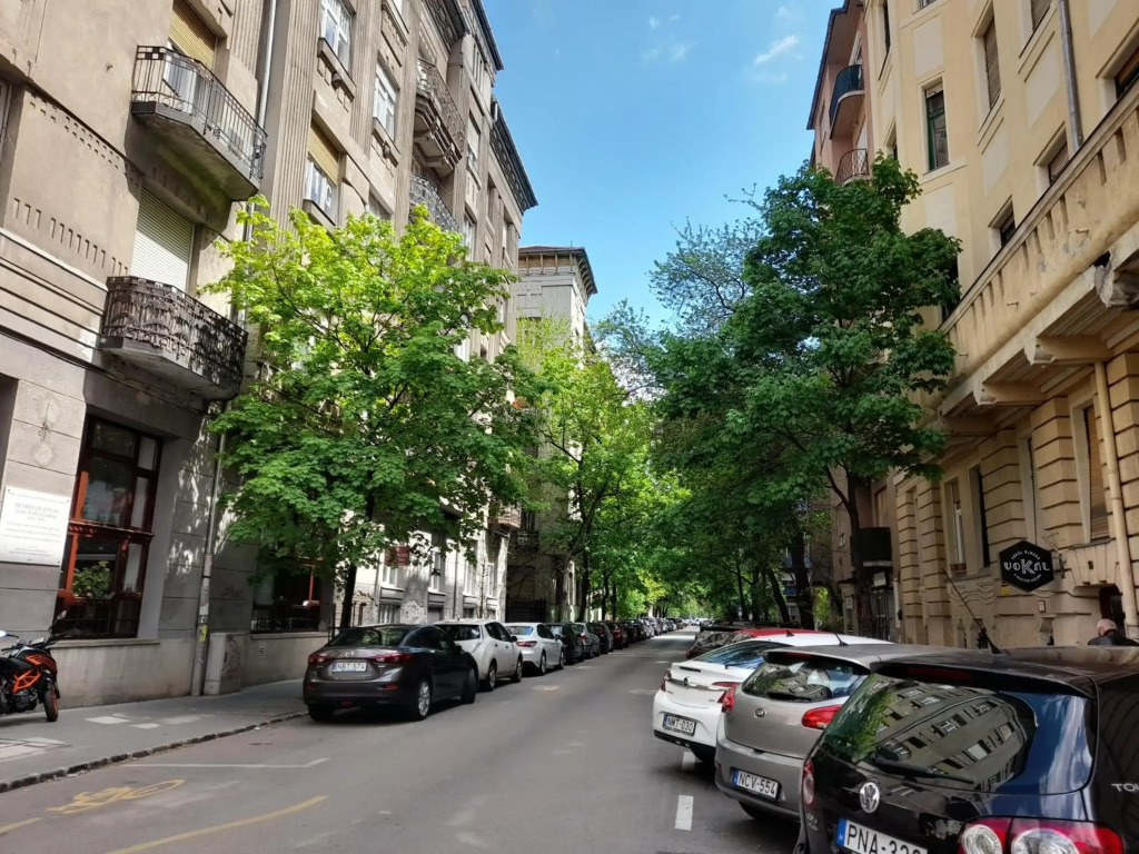 Stylish Homes Downtown Buda