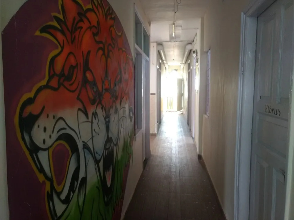 Bunk Hostel Delhi