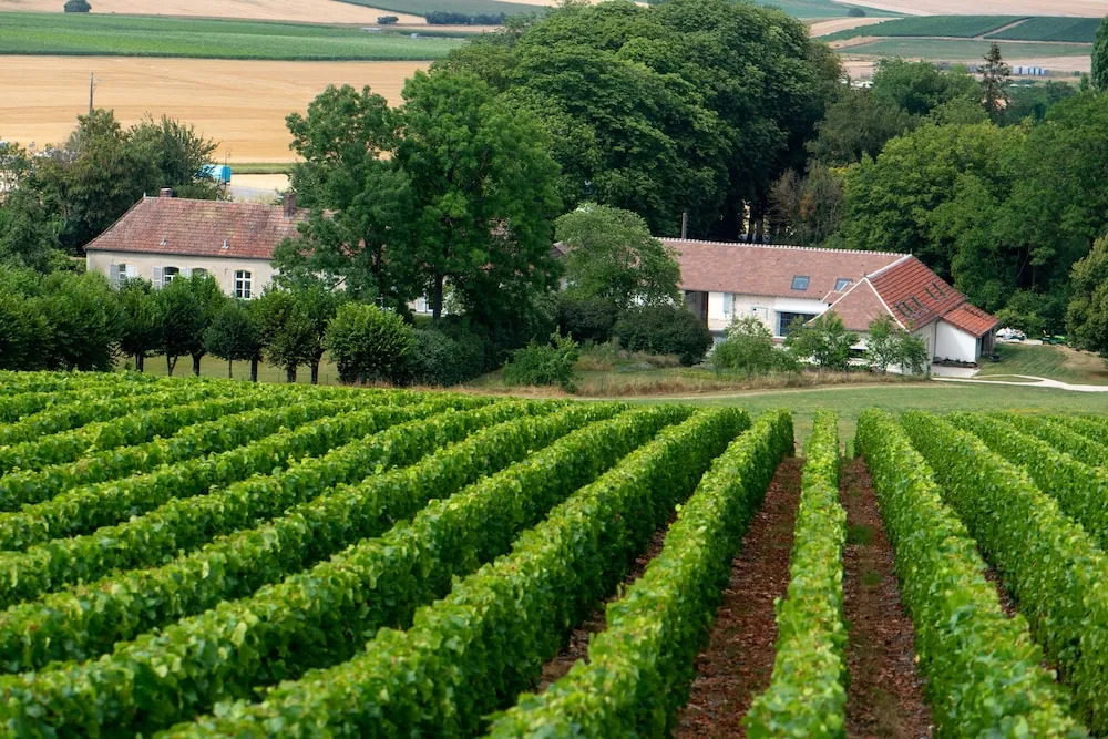 L Ecrin des vignes