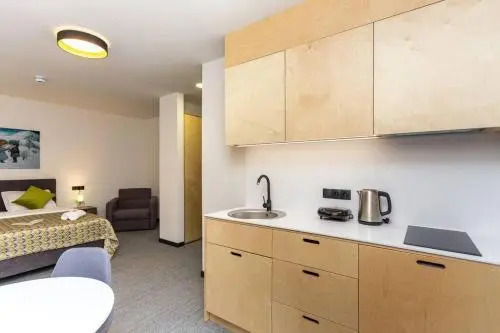 Flat 1 Bedroom - Bakuriani