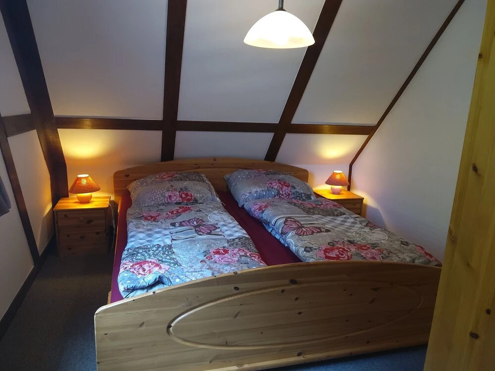 Large Apartment in Wildemann in the Upper Harz, at the Edge of the Forest