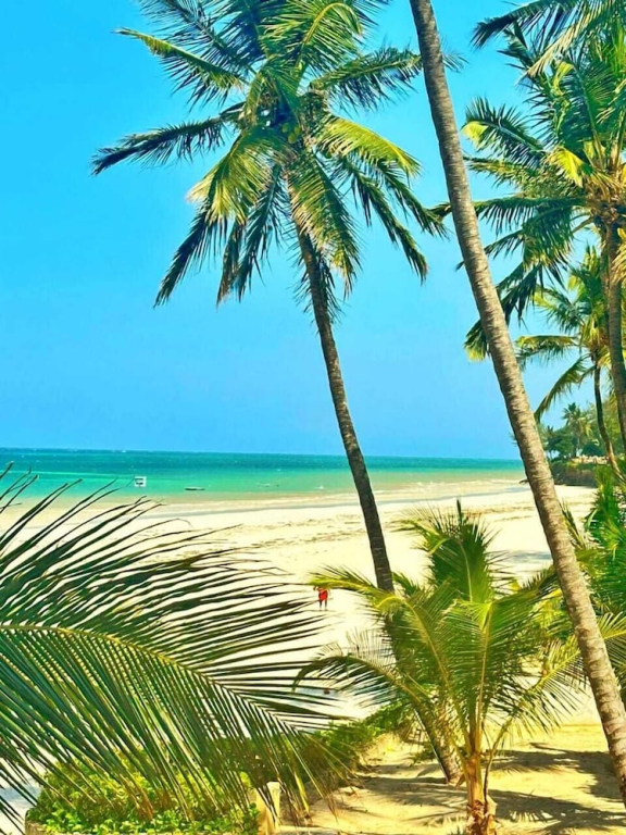 Shanzu Oceanfront Apartments and Suites