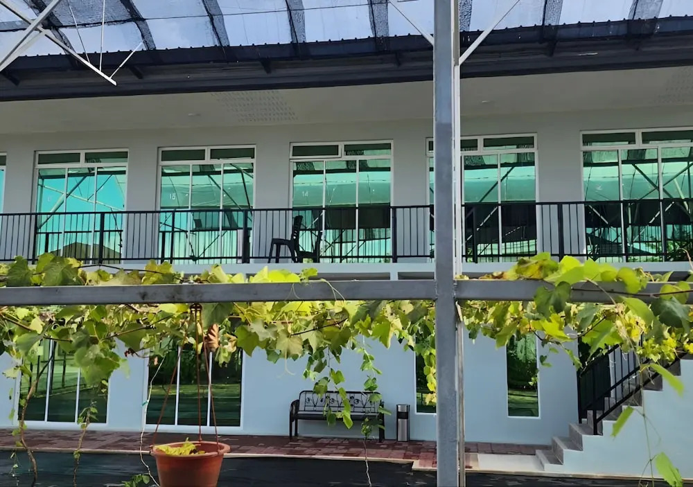 Grapevine Garden