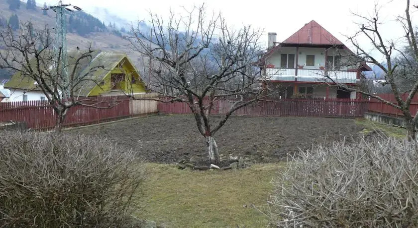 Pensiunea Colt de Rai