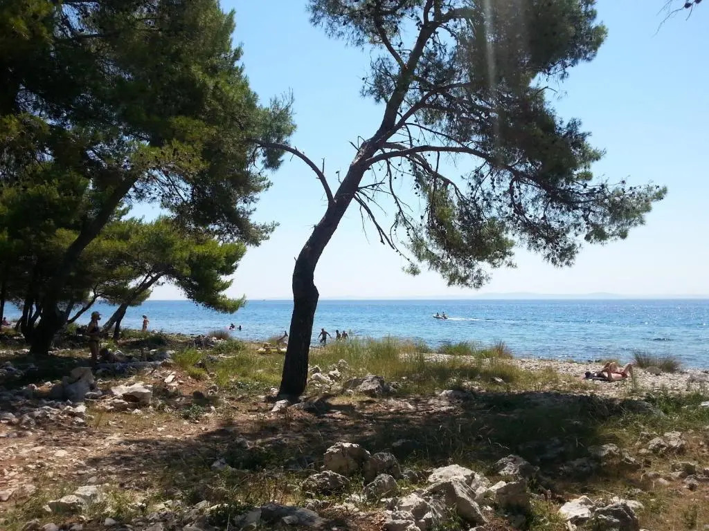 Apartments Miler