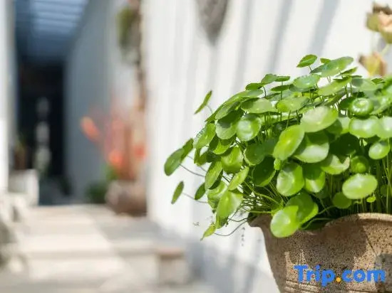 Taihu Easy Stay Lakeside · Front Lakeview Designer Family-Friendly Holiday Villa