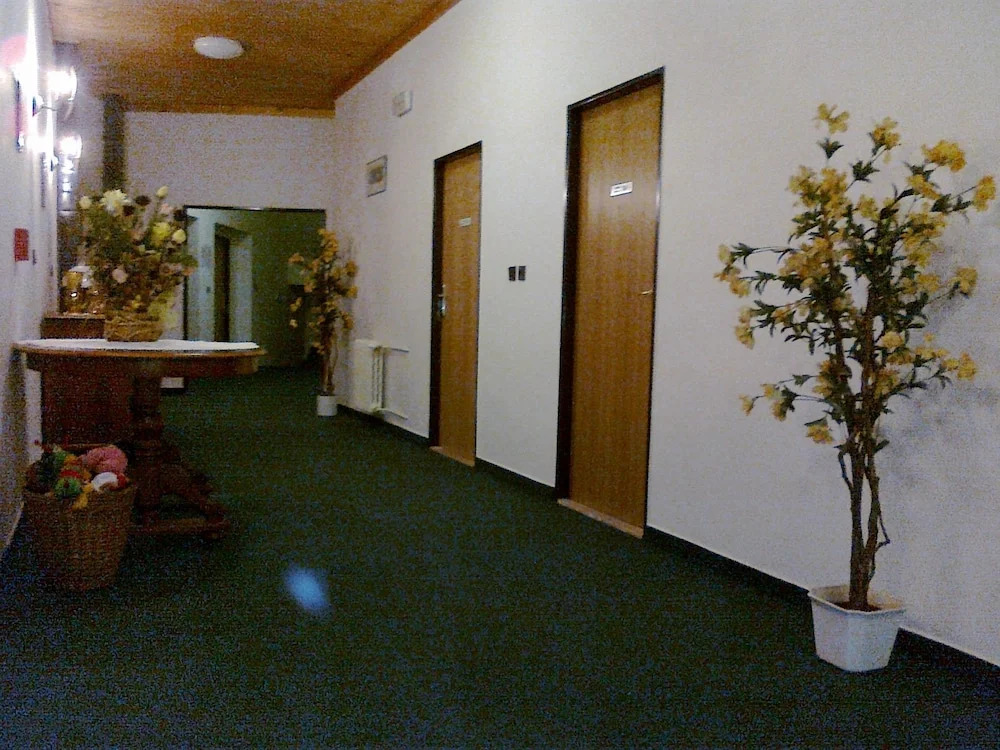 Pension Mona