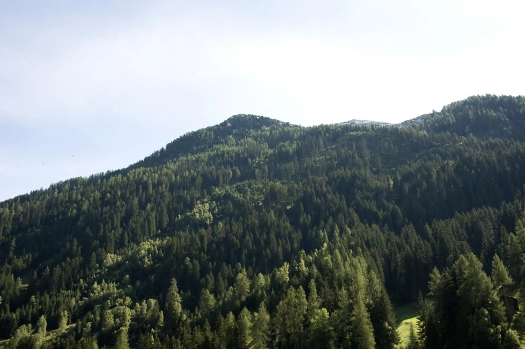 Haus Deiser