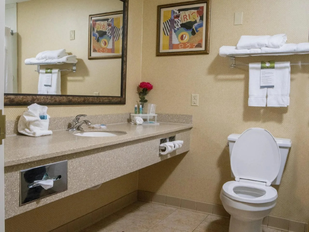 Holiday Inn Express Hotel & Suites Youngstown North-Warren/Niles by IHG