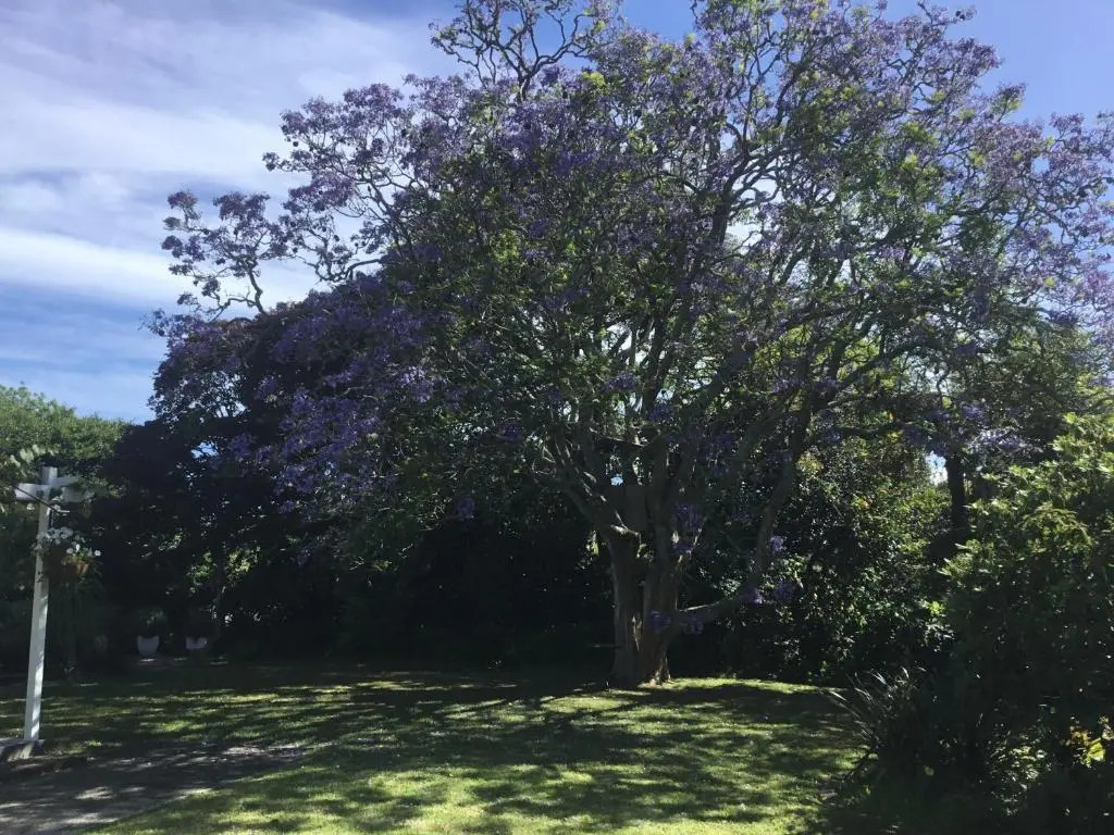 Pa Road B&B Kerikeri NZ