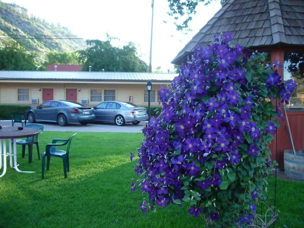 The Siesta Motel