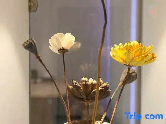 Zhishang Collection Hotel (Kunming Shiji Jinyuan Dadou Motian Shopping Center)