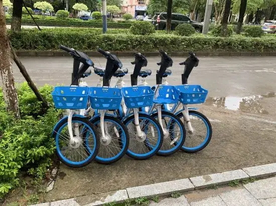7 Days Premium (Dongxing Dongmeng Road Kouan)